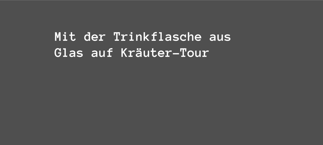 Mit der Trinkflasche aus Glas auf Kräuter-Tour: So trocknest und lagerst du sie richtig!