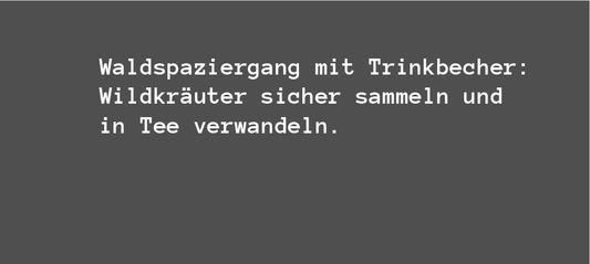 Waldspaziergang mit Trinkbecher: Wildkräuter sicher sammeln und in Tee verwandeln.