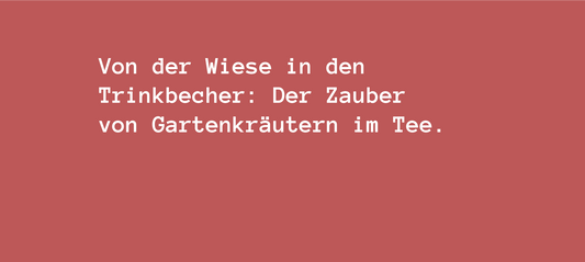 Von der Wiese in den Trinkbecher: Der Zauber von Gartenkräutern im Tee.